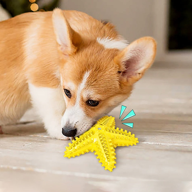 [DFC] Dog Dental Chew Toy Indestructible Teeth Cleaning Starfish Puppy Toothbrush Pet Supply Training Chew Ball