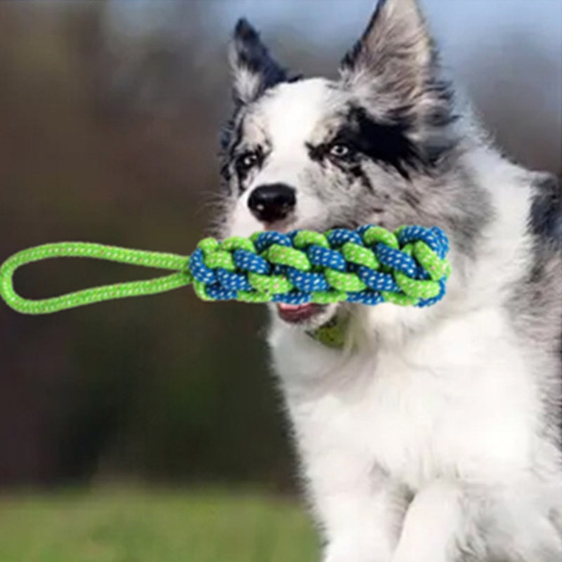 [DFC] Dog Play Set Bestseller Pet Toy High Bounce Interactive Chew Ball Dental Health Rope Tug Toy for Indoor Outdoor Games