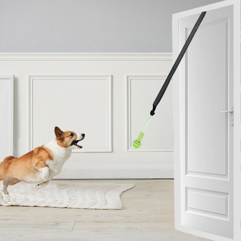 [DFC] Dog Play Set Bestseller Pet Toy High Bounce Interactive Chew Ball Dental Health Rope Tug Toy for Indoor Outdoor Games