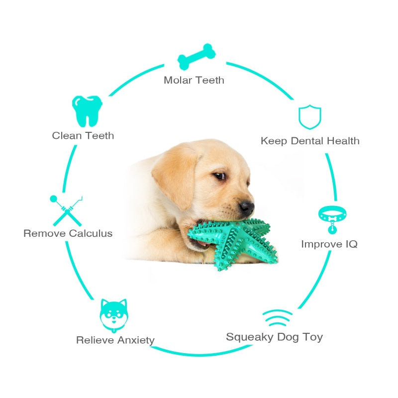 [DFC] Dog Dental Chew Toy Indestructible Teeth Cleaning Starfish Puppy Toothbrush Pet Supply Training Chew Ball