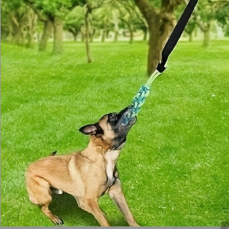 [DFC] Dog Play Set Bestseller Pet Toy High Bounce Interactive Chew Ball Dental Health Rope Tug Toy for Indoor Outdoor Games