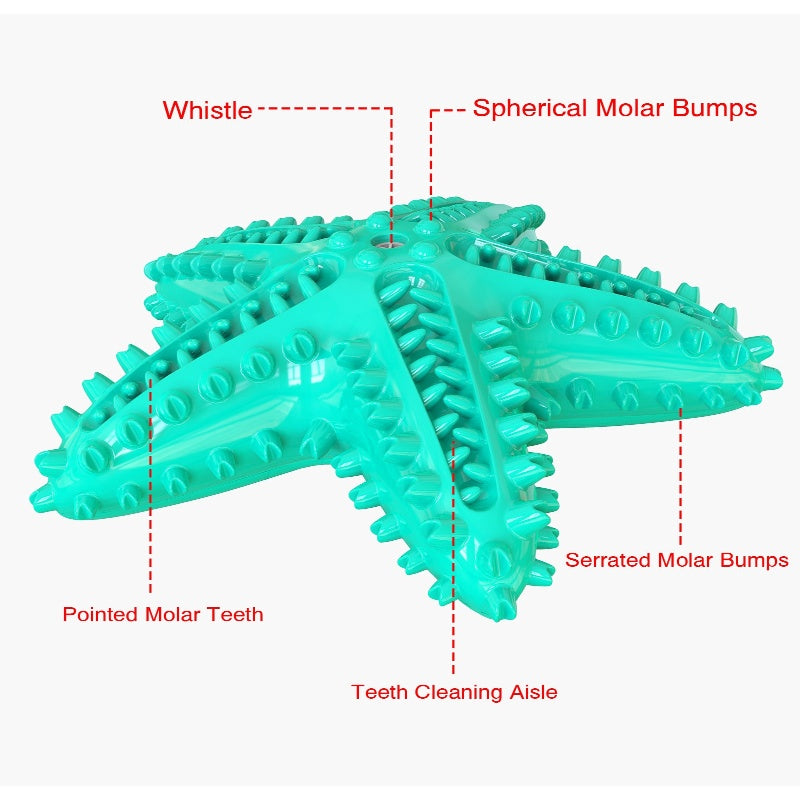 [DFC] Dog Dental Chew Toy Indestructible Teeth Cleaning Starfish Puppy Toothbrush Pet Supply Training Chew Ball