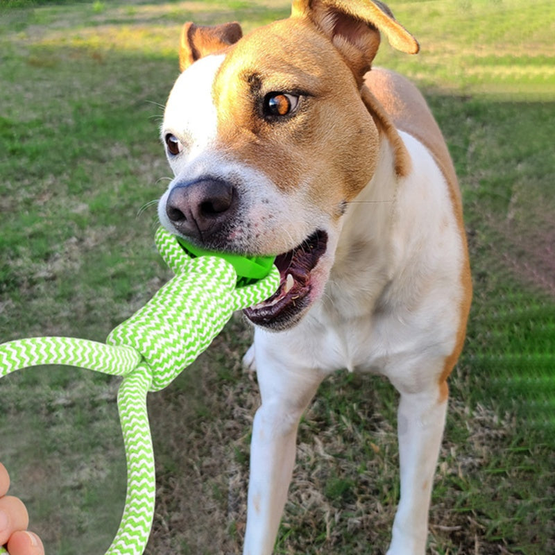[DFC] Dog Play Set Bestseller Pet Toy High Bounce Interactive Chew Ball Dental Health Rope Tug Toy for Indoor Outdoor Games