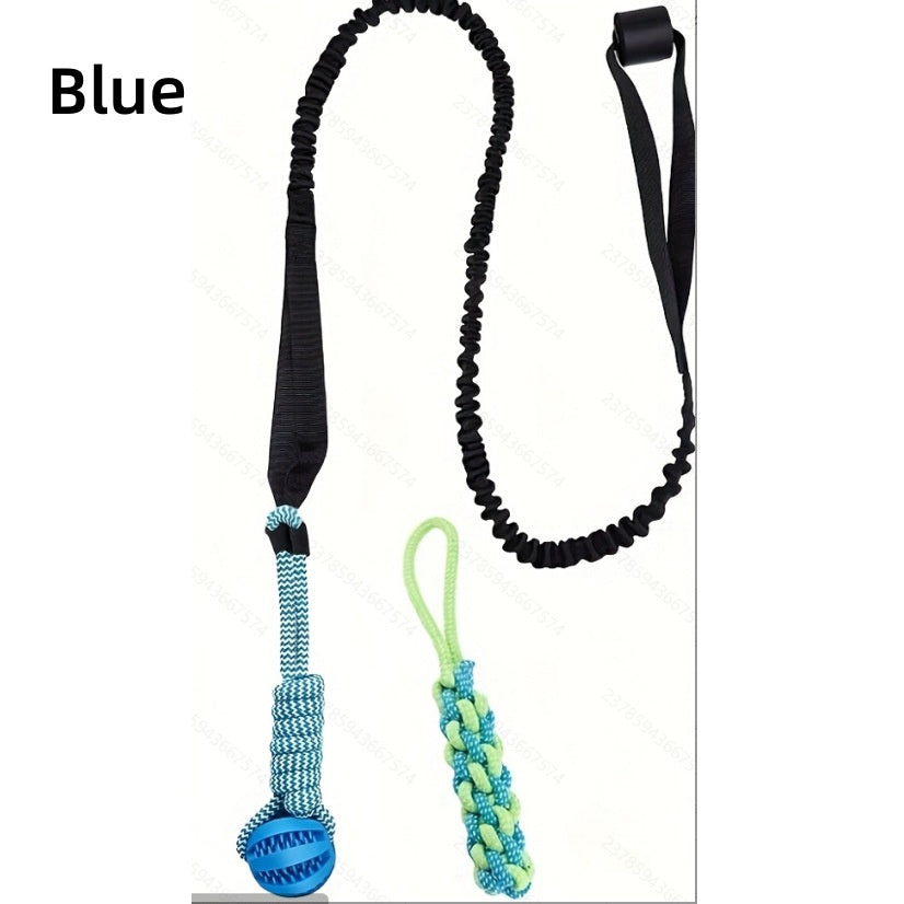 [DFC] Dog Play Set Bestseller Pet Toy High Bounce Interactive Chew Ball Dental Health Rope Tug Toy for Indoor Outdoor Games
